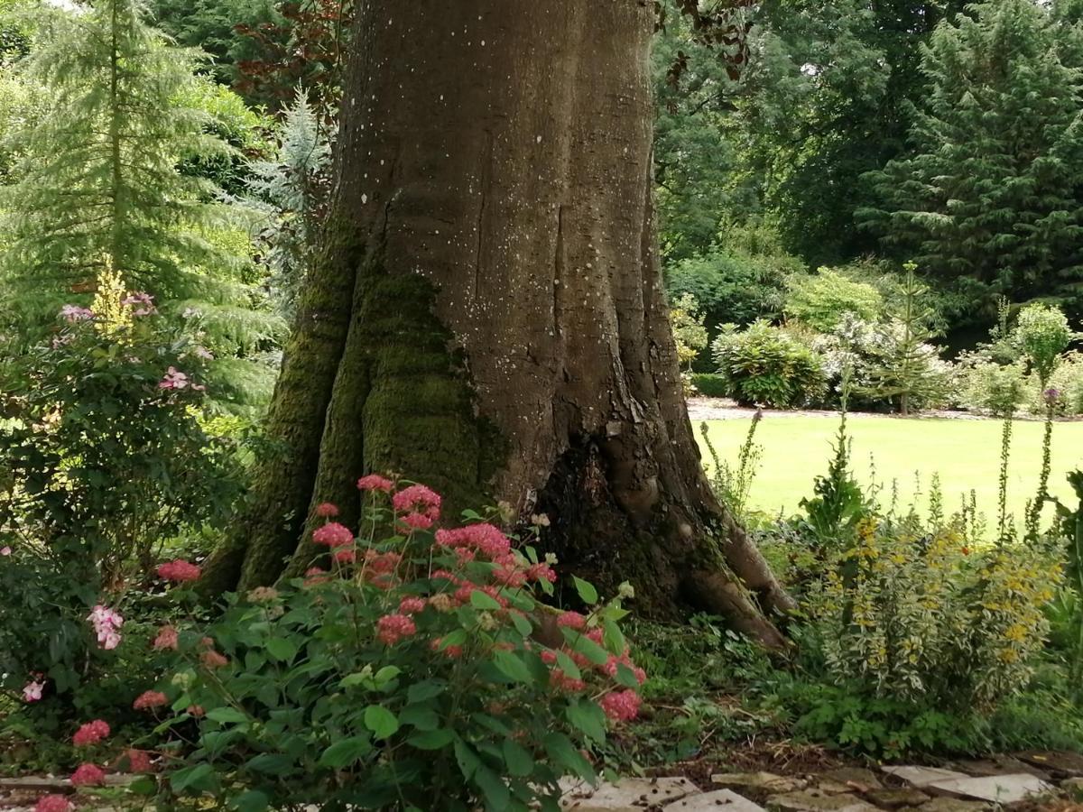 Chambre E Andre Le Domaine Des Jardins De Bracquetuit Luaran gambar