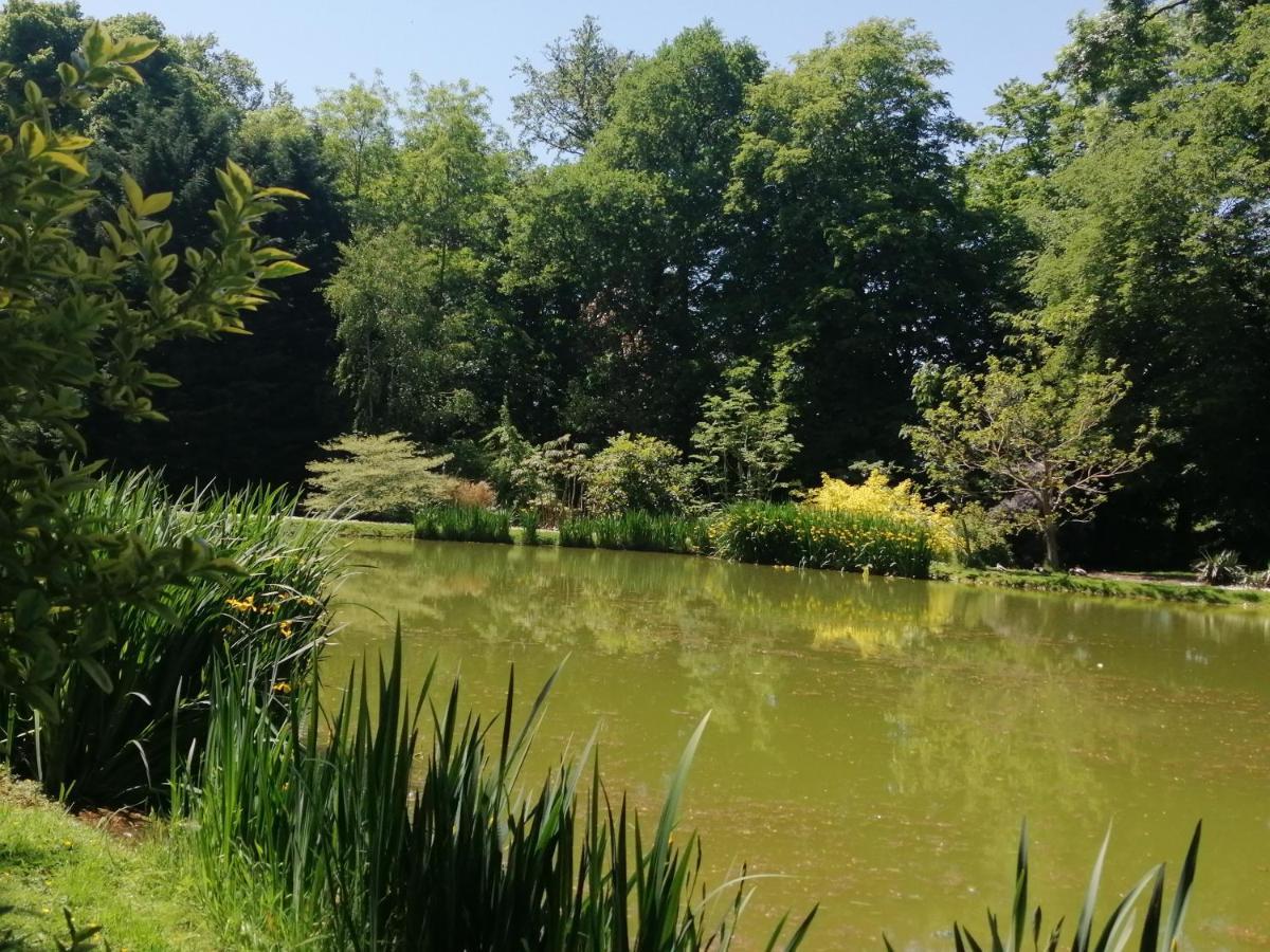 Chambre E Andre Le Domaine Des Jardins De Bracquetuit Luaran gambar